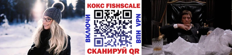 Купить  Петровск-Забайкальский  КОКАИН Fish Scale 