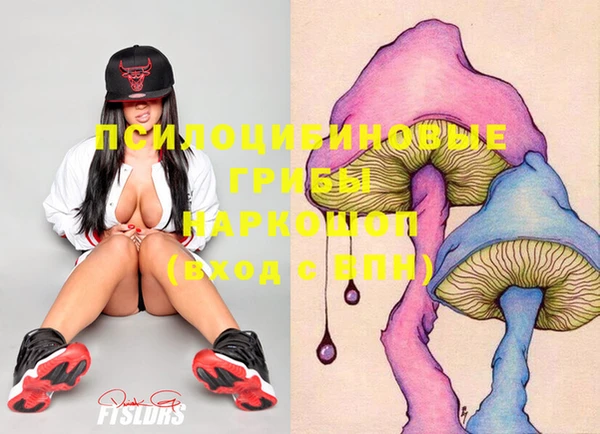 прущий лед Чекалин