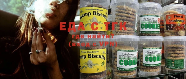 индика Чегем