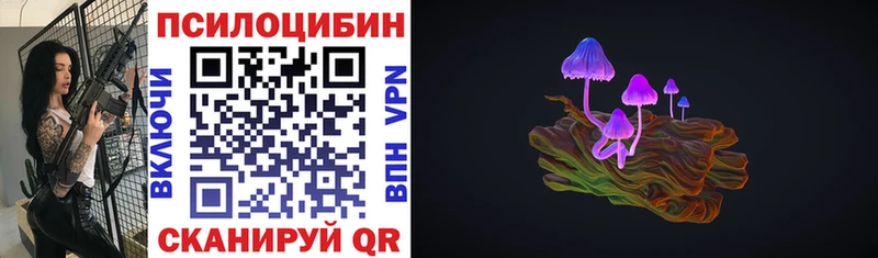 Галлюциногенные грибы Magic Shrooms  Купить закладки  Петровск-Забайкальский 